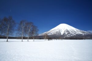素材・北海道・雪